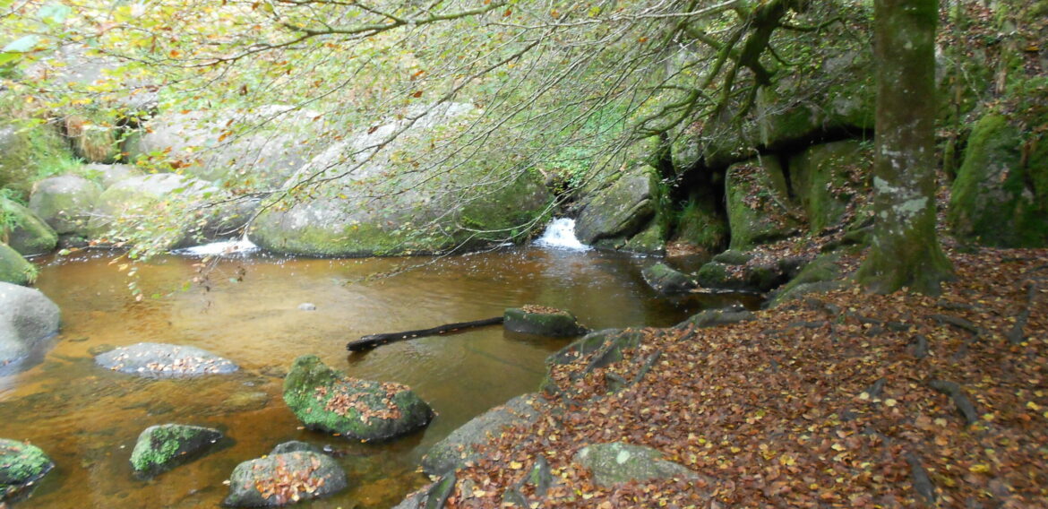 Aveliñ e benn en Huelgoad