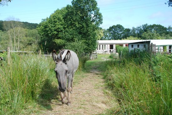 Neventi 2019: ur staj brezhoneg en natur