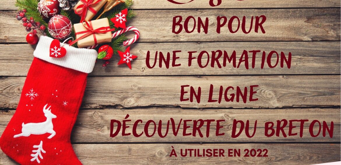 🎁 Profit ur stummadur Roudour evit Nedeleg ! Offrez une formation Roudour pour Noël !