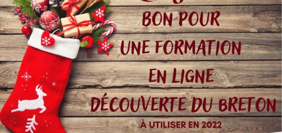 🎁 Profit ur stummadur Roudour evit Nedeleg ! Offrez une formation Roudour pour Noël !