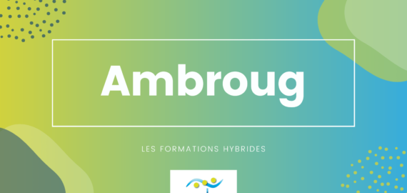 Ambroug transforme votre expérience d’apprentisssage ! Les formations hybrides, un moyen moderne de vous former au breton !