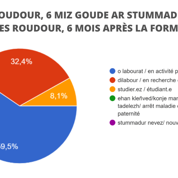 Que deviennent les stagiaires Roudour après leur formation ?